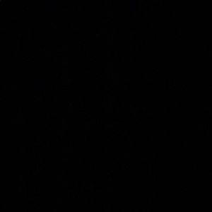 Meet your Posher, Alexander